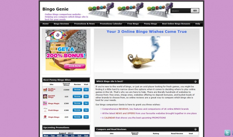 Creation of Online Bingo Affiliate Site